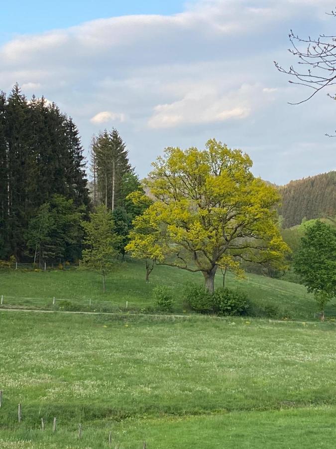 Landgasthof Restaurant Laibach Bad Berleburg Buitenkant foto